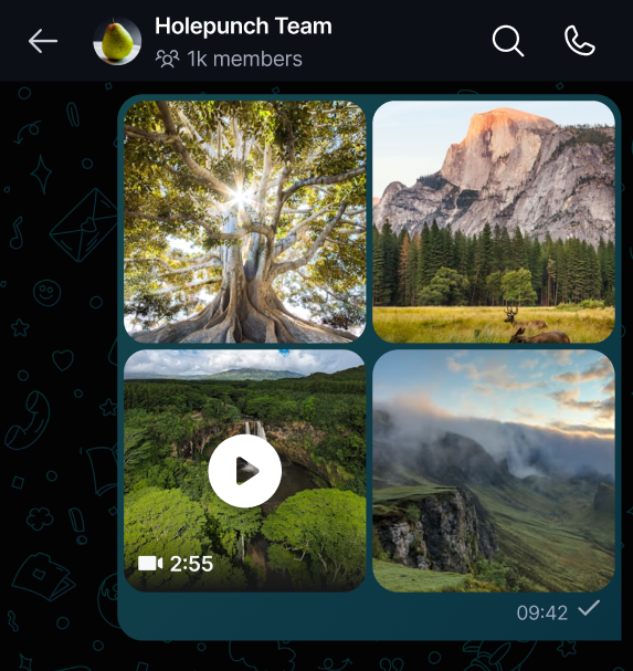 Sharing Files and Media 🗃️ Select the files you want to share with your peers, or drag and drop them into the chat window (on desktop).