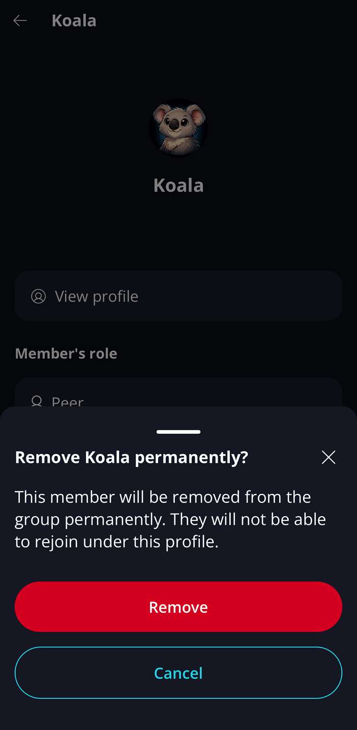 Group Moderation ⚖️ · Remove member Admins and Moderators can permanently remove a peer from the group by selecting 'Remove member'.